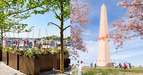 Photo of Washington, D.C.