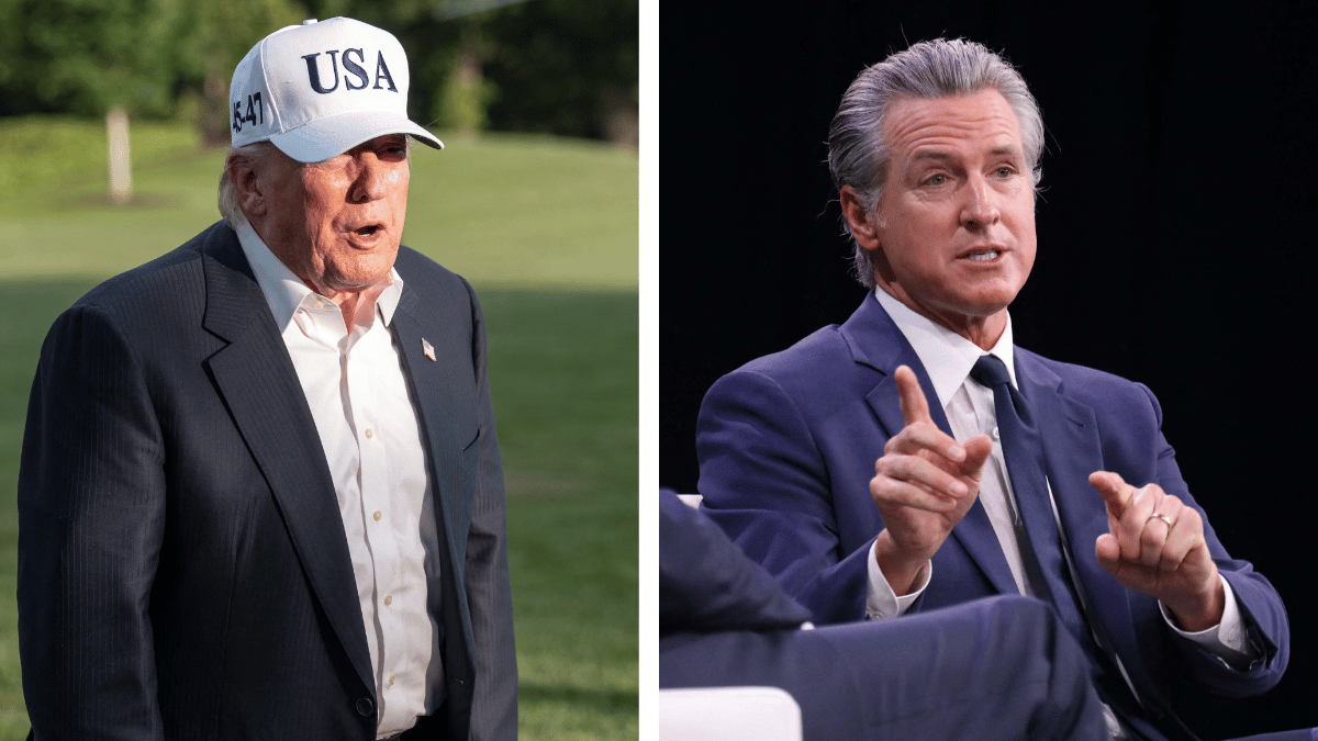 split of Donald Trump & Gavin Newsom. 