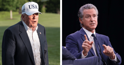 split of Donald Trump & Gavin Newsom.