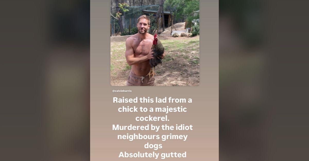 Photo of The loss of Calvin Harris' pet came weeks after he welcomed his first child. 