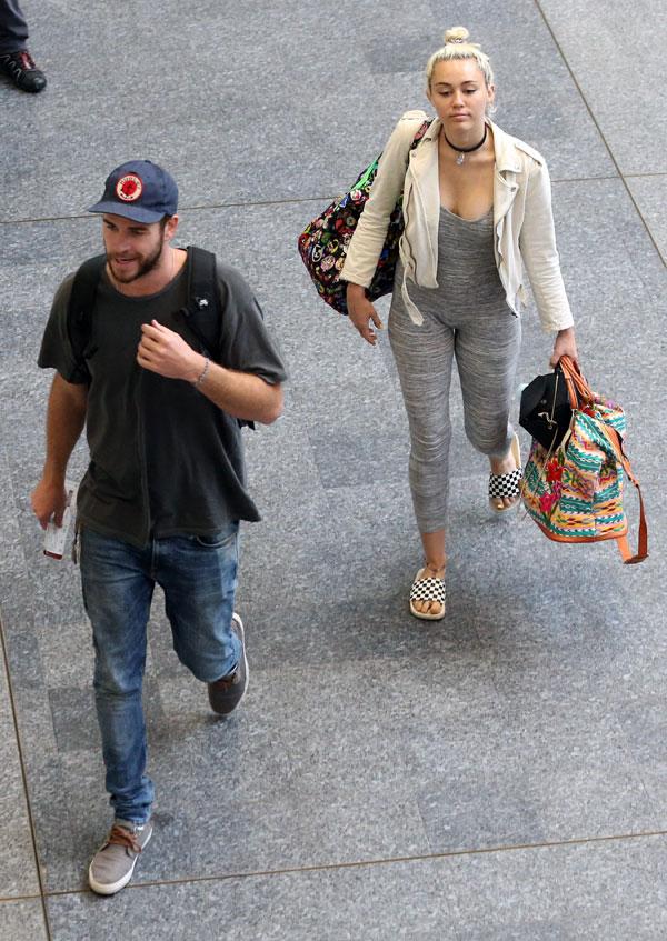 miley cyrus liam hemsworth travel brisbane matching tatoo