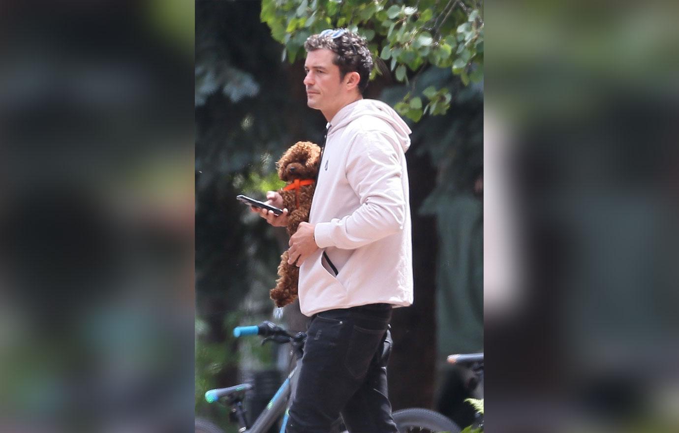 Orlando bloom puppy