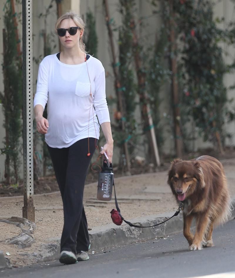 Exclusive&#8230; Pregnant Amanda Seyfried Shows Off Her Baby Bump While Taking Her Dog For A Walk