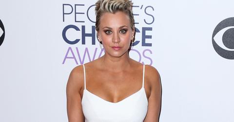 kaley cuoco flag dogs instagram apology