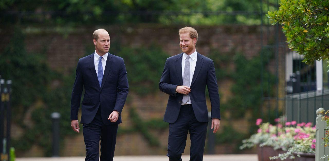 prince harry loses opportunity prince william top advisor