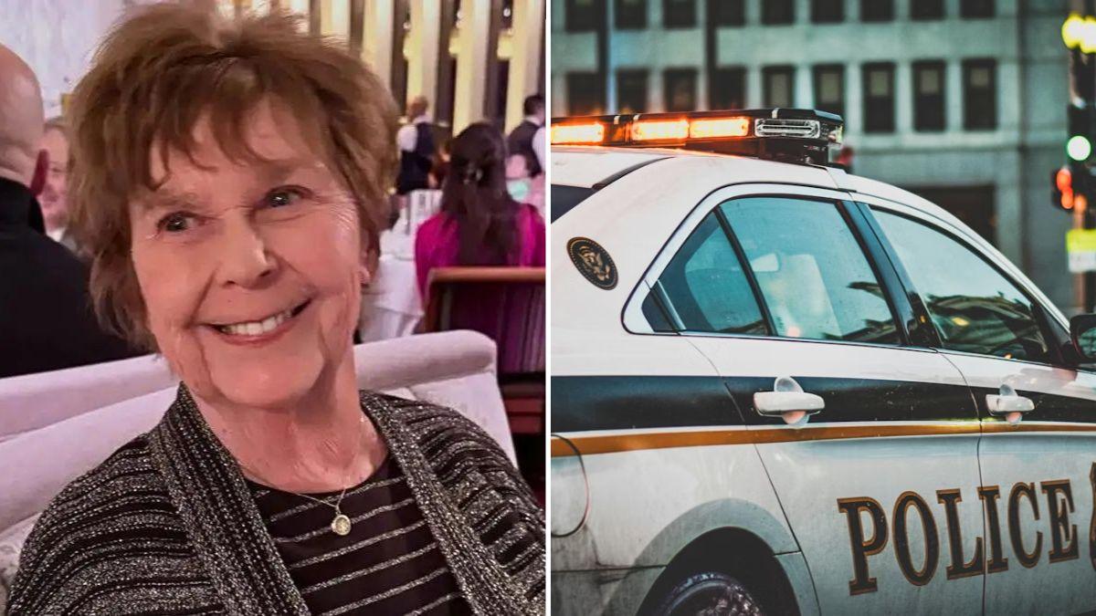 split of Nancy Guthrie, cop car. 