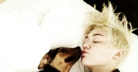 Miley cyrus august20 1.jpg