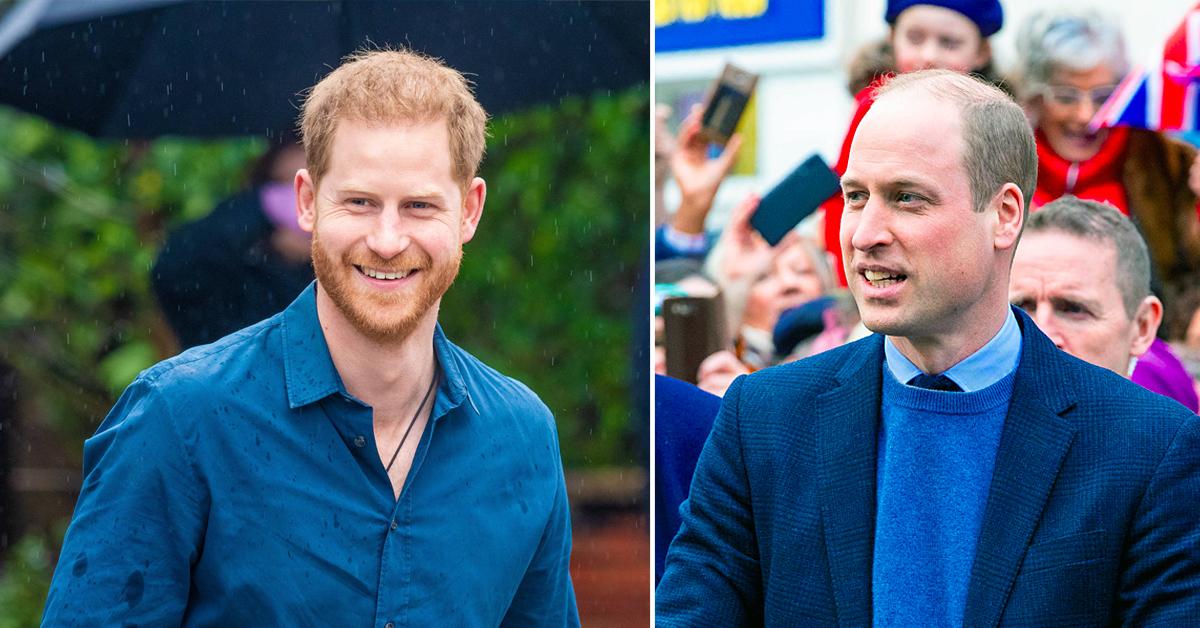 Prince Harry, Prince William's Reunion Is 'Good Start' At Reconciliation