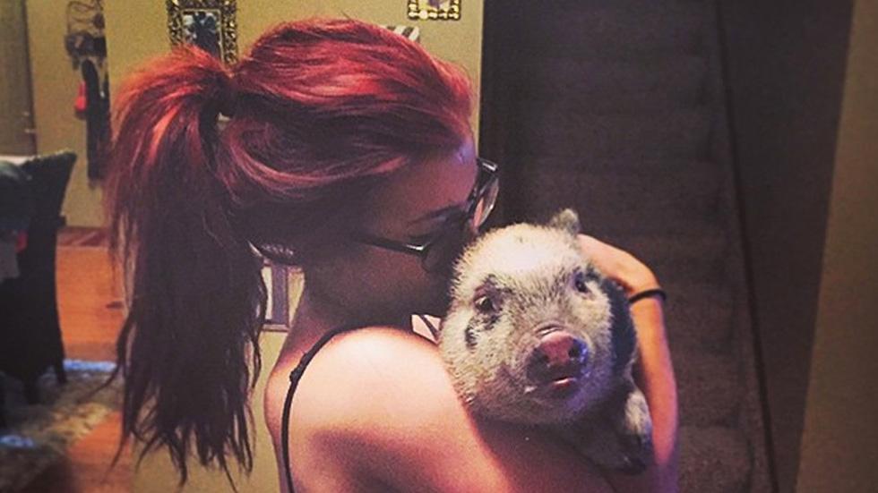 Chelsea houska pet pig petey