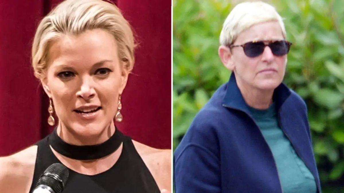 Photo of Megyn Kelly labeled Ellen DeGeneres as 'ignorant.'