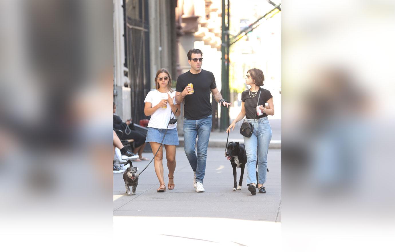 Zachary Quinto Wears Shorts Over Pants to Walk His Dogs, Celebrity Pets,  Zachary Quinto