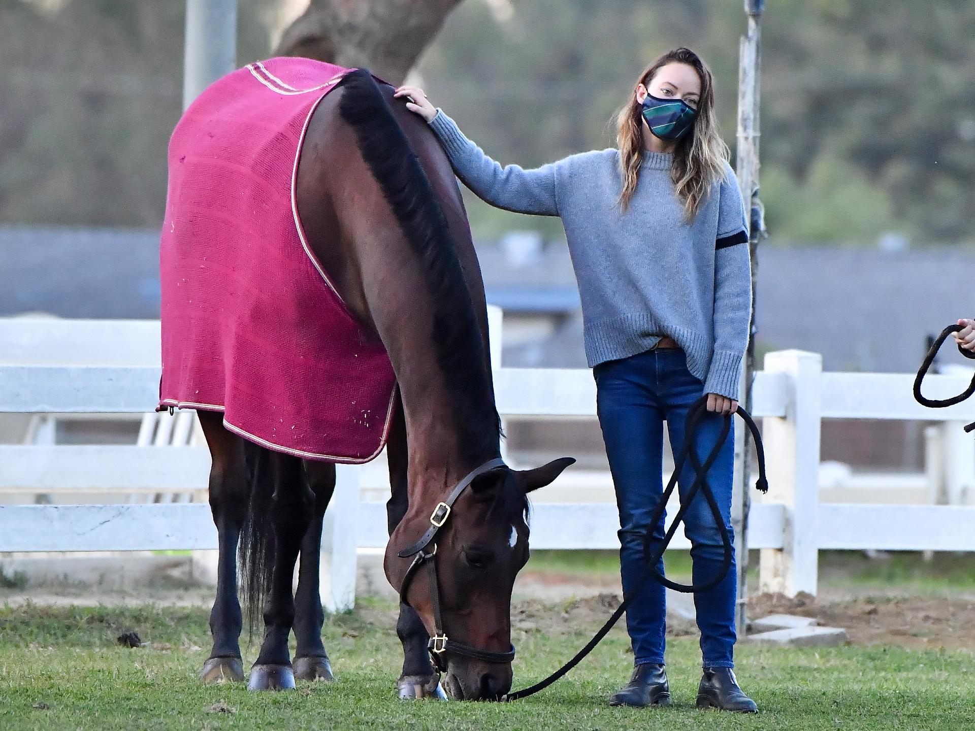 Newly Single Olivia Wilde stops by a horse stable in Los Angeles