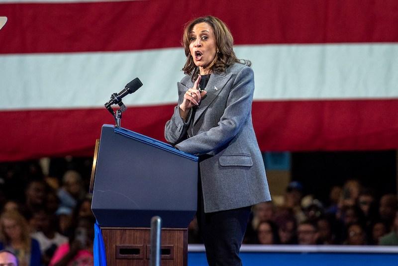 donald trump accused kamala harris cognitive