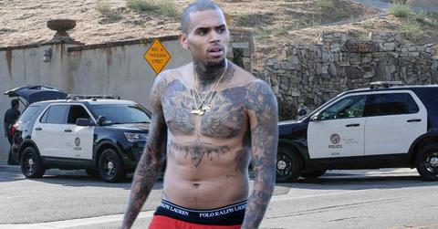 chris brown allegedly points gun at women