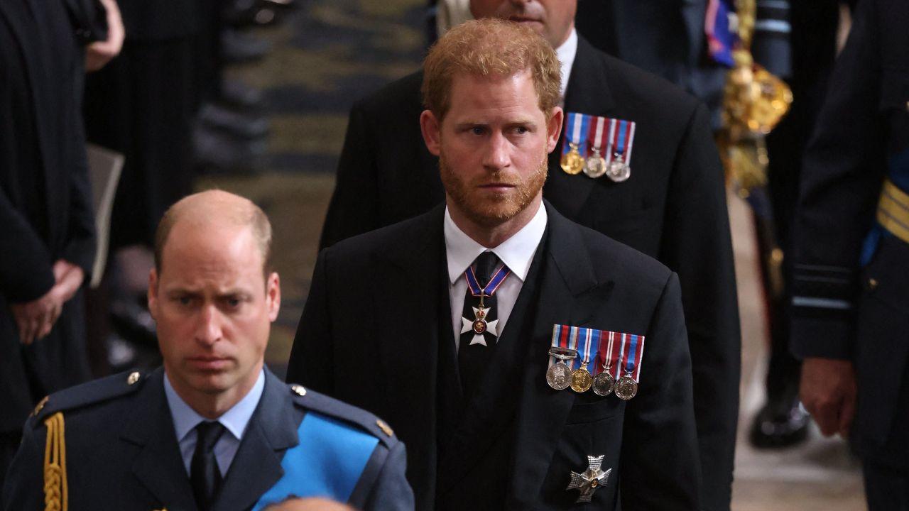 image of prince harry and prince William 
