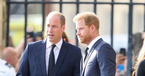 prince harry william inseparable