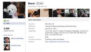 2011__03__Mark_Zuckerberg_Puppy_March7newsneb 300×173.jpg