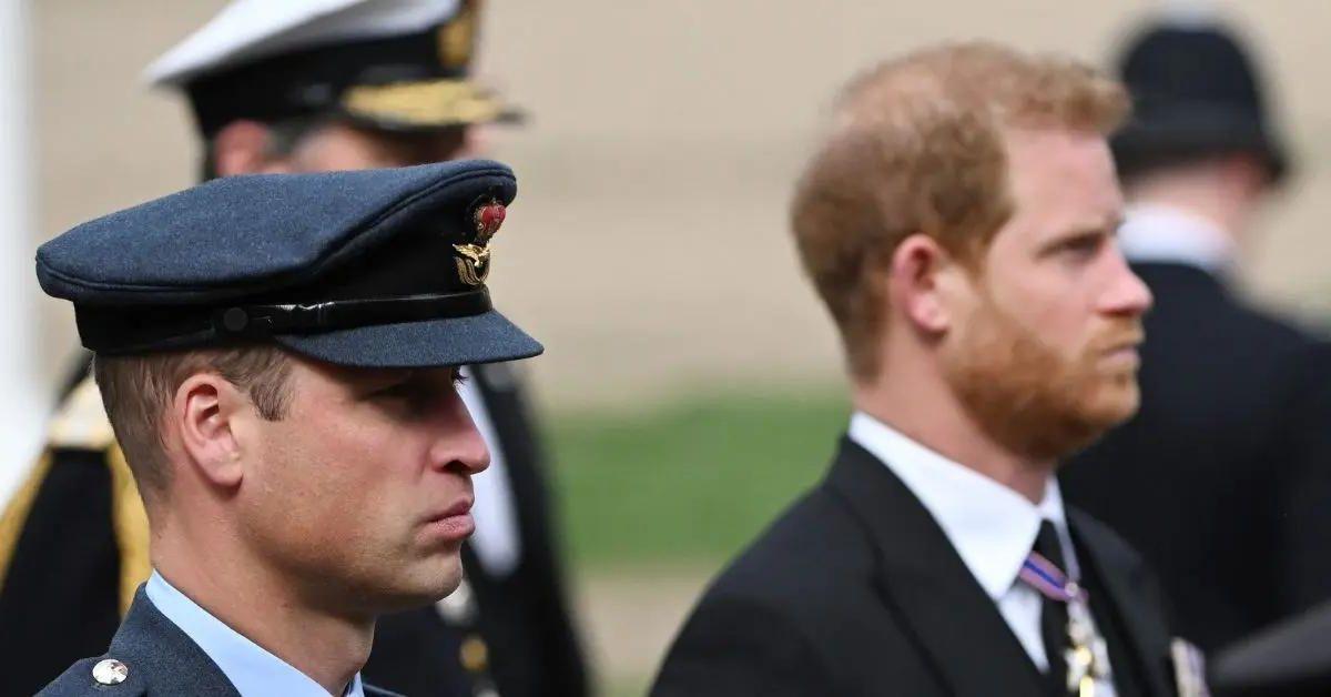 prince william and prince harry