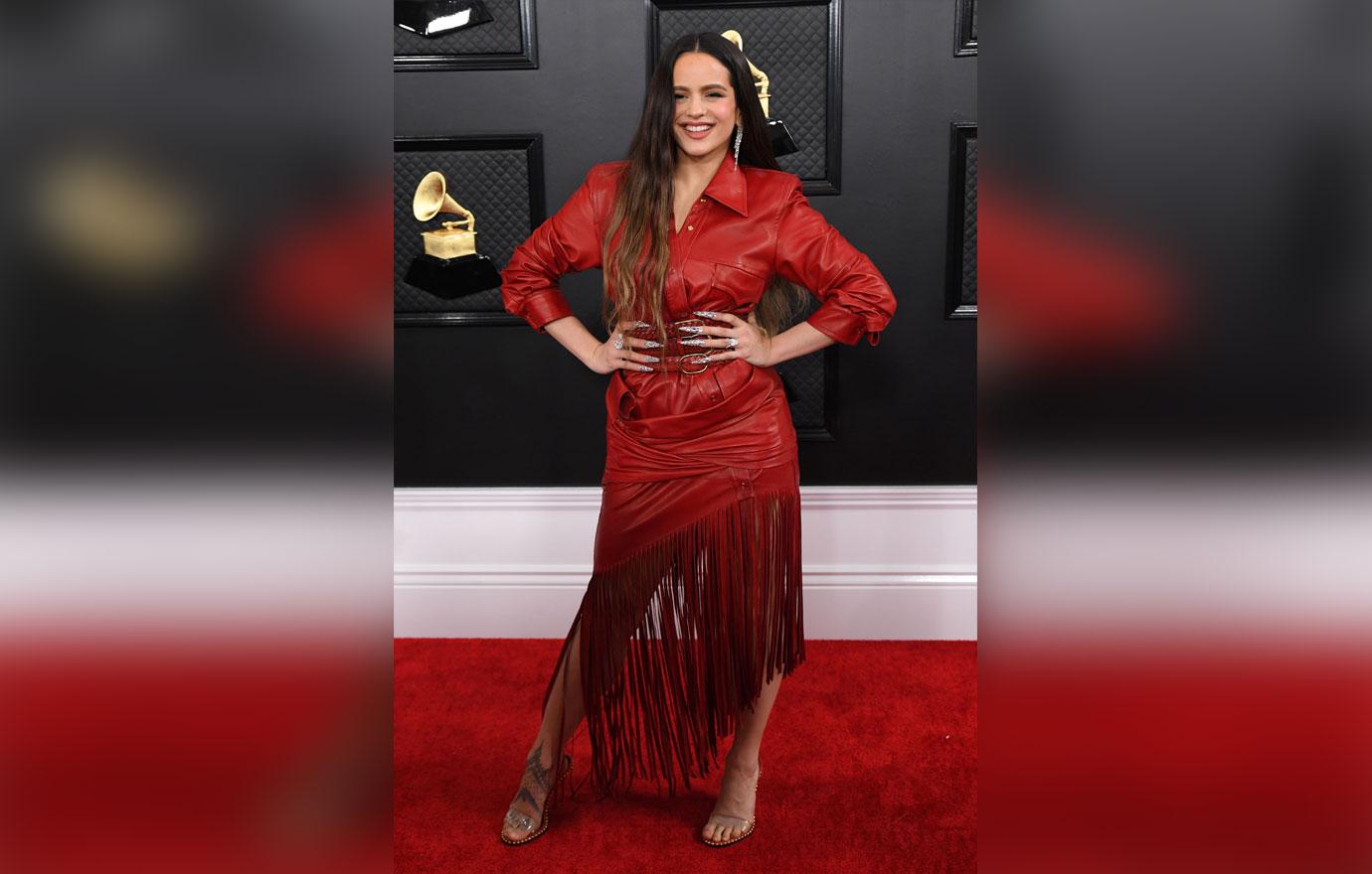 Grammy Awards 2020 Celebrity Red Carpet Arrival Photos Looks