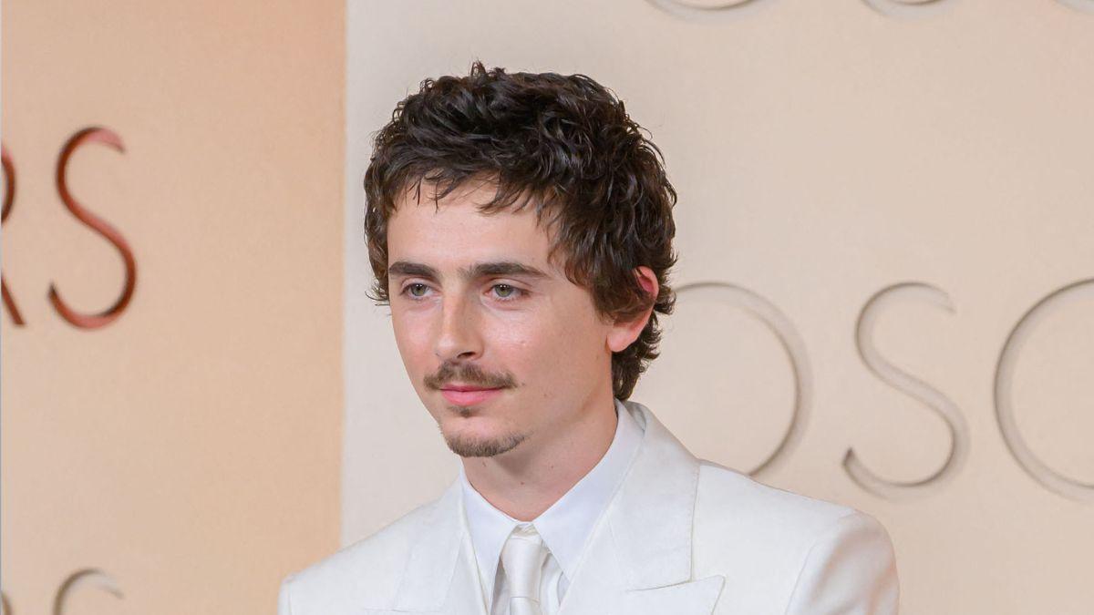 image of Timothée Chalamet was asked about the arts during an interview. 