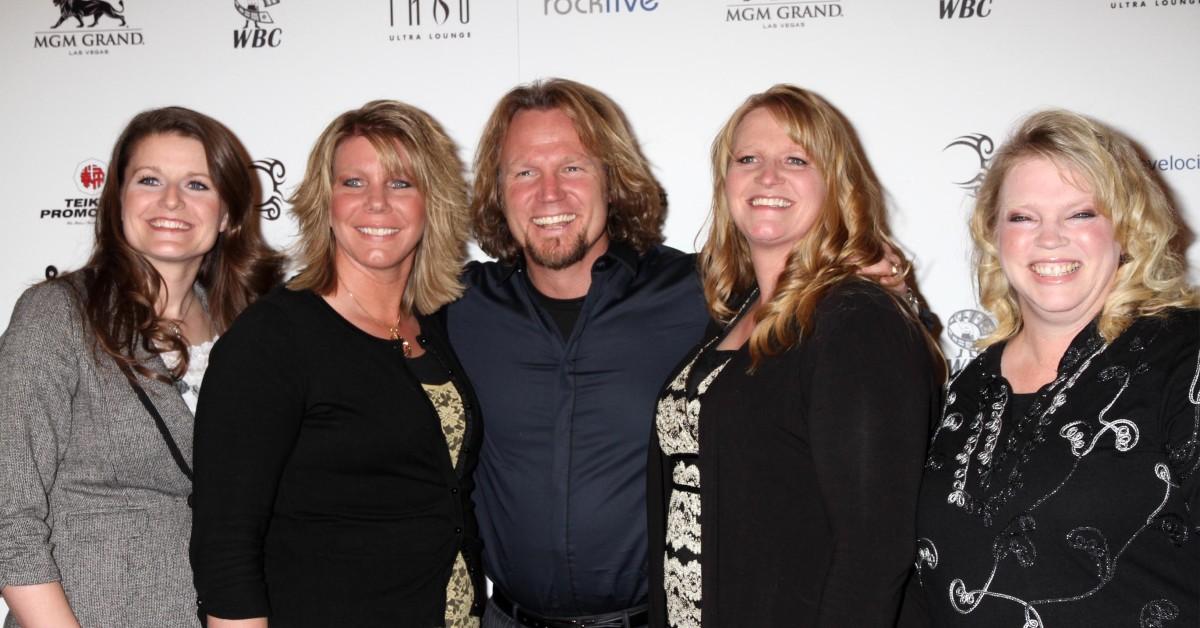 sister wives controversial episodes