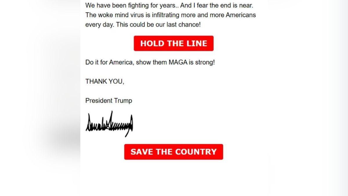 image of Donald Trump warned about the 'radical Left' flipping Congress in his email. 