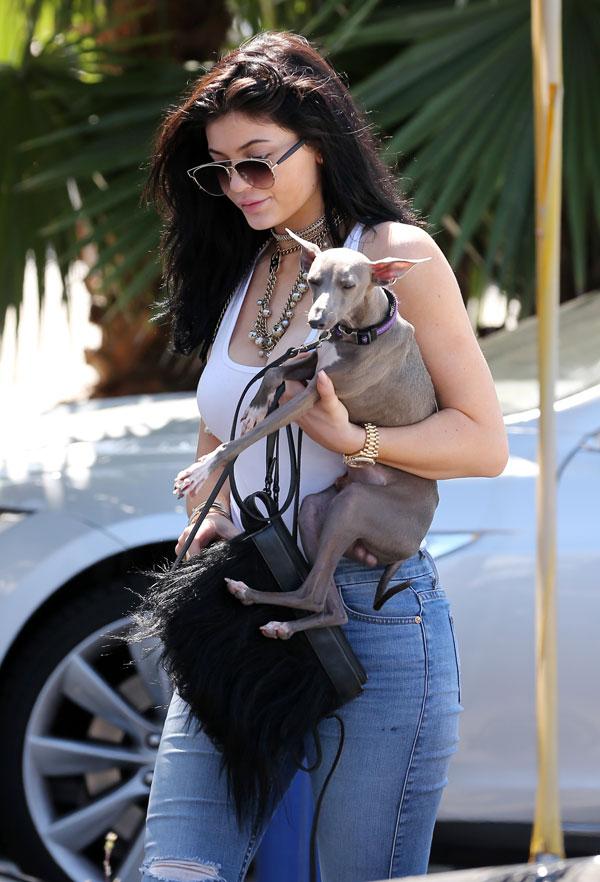 Celebrity Animal Lovers