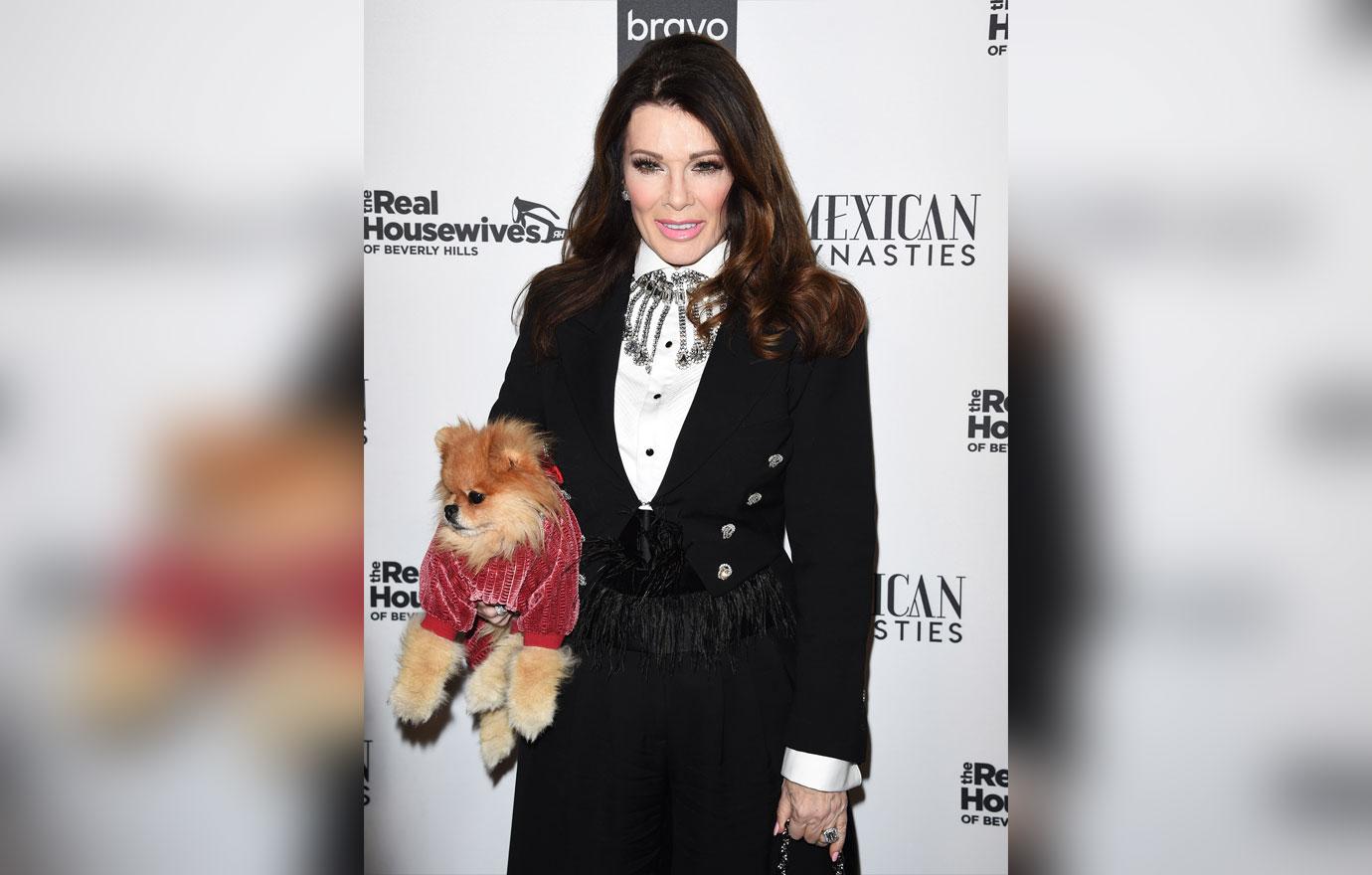 Lisa Vanderpump Agt Bravo's Party For "The Real Housewives Of Beverly Hills" Season 9 And "Mexican Dynasties"