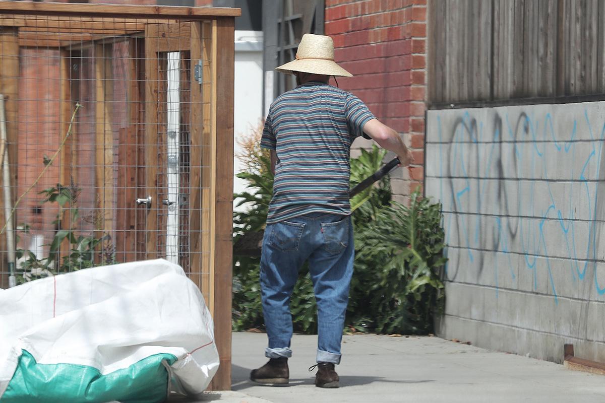 *EXCLUSIVE* Zach Galifianakis tends to his vegetable allotment