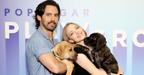 milo ventimiglia amanda seyfried