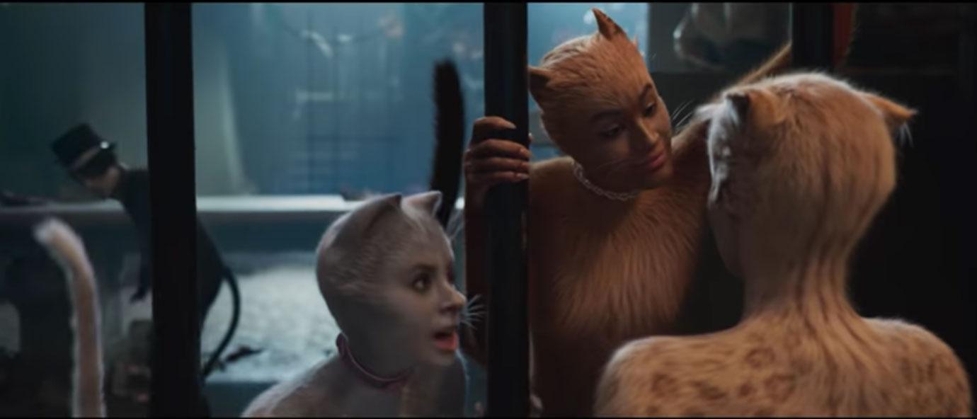 cats trailer