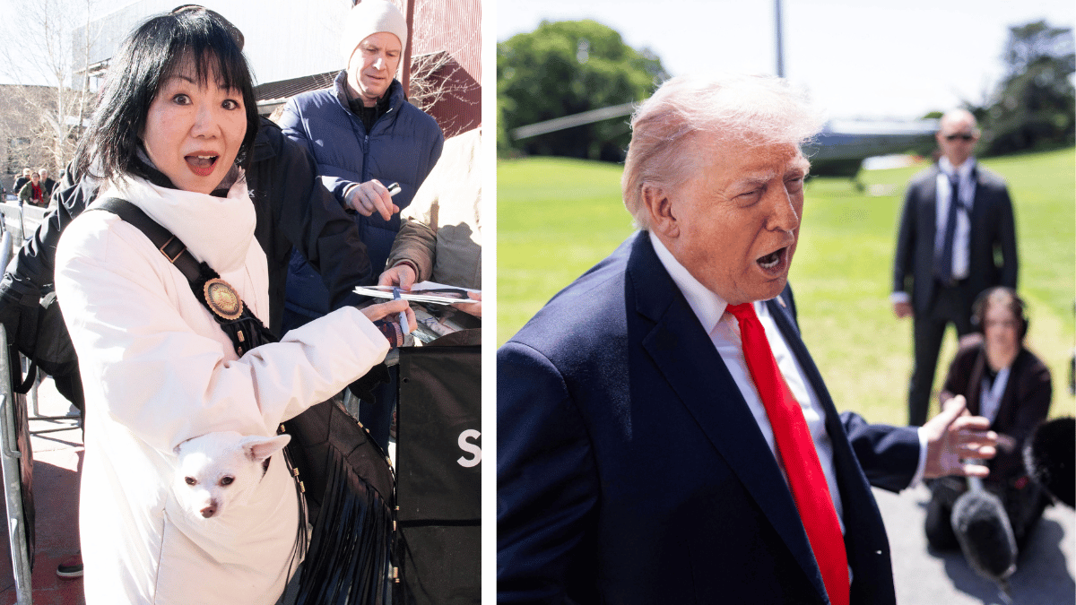 split of Margaret Cho & Donald Trump. 