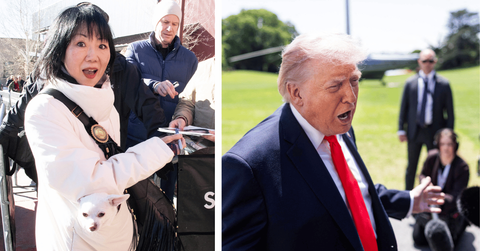 split of Margaret Cho & Donald Trump.
