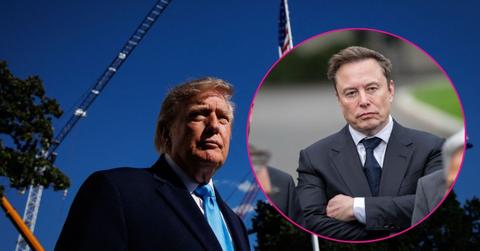 Image od Donald Trump and Elon Musk