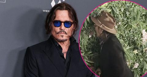 Image of Johnny Depp.