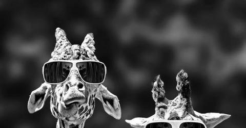 Tumblr_mn9rjwDctl1ryvlebo1_1280