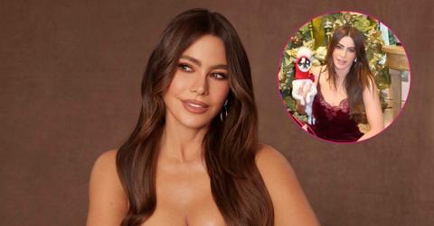 Photo of Sofía Vergara