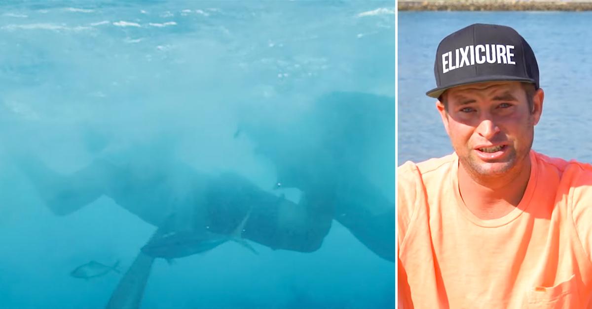 jackass star emotionally recounts sean mclerney shark attack bite ok