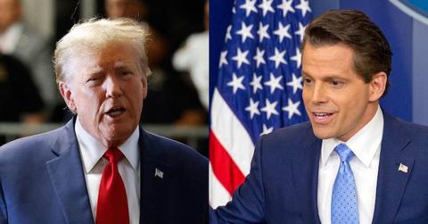 anthony scaramucci donald trump no money