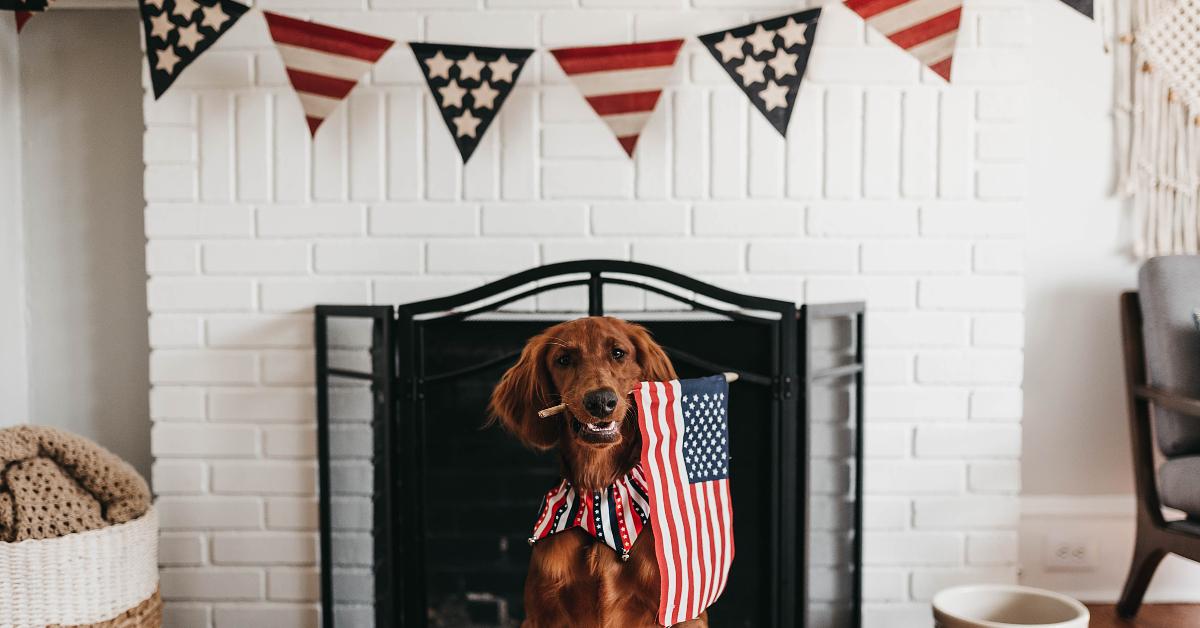 4th Of July Home Decor & Party Essentials From Amazon