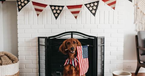july fourth home party decorations celebrate shop feature