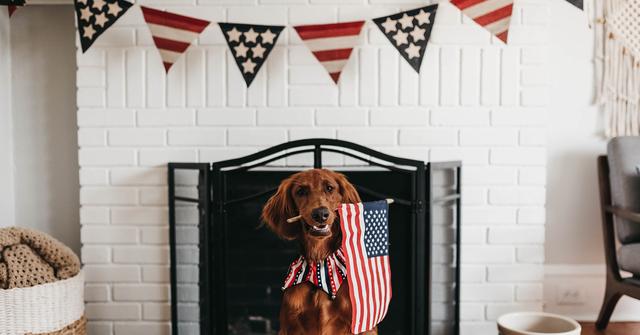 july fourth home party decorations celebrate shop feature