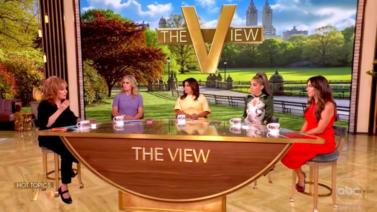 photo of Joy Behar was not supportive of the idea of Kamala Harris running for president in 2028.