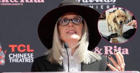 photo of Diane Keaton, her dog.