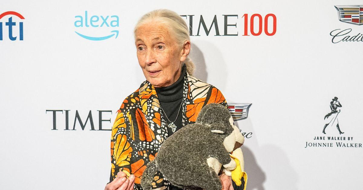 jane goodall family husband sibling son