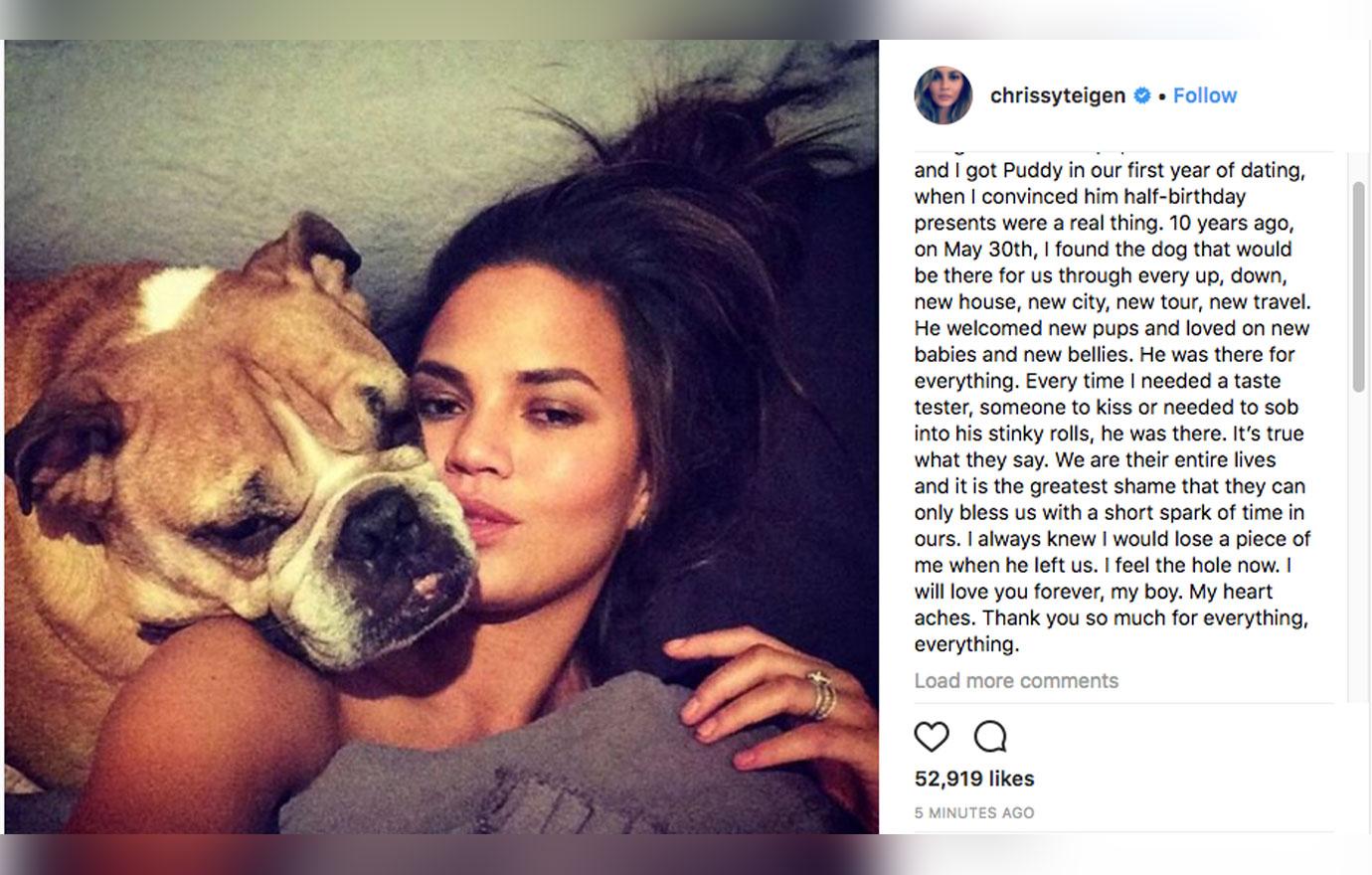 Chrissy teigen dog dead 2