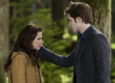 2009__09__picture 10 225×162.png