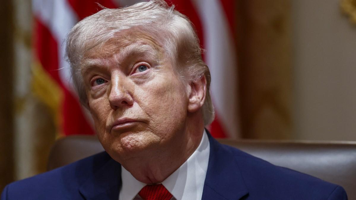 pic of Donald Trump. 