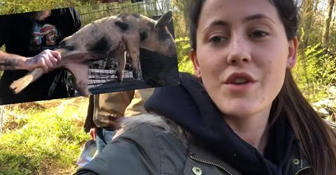 jenelle-evans-youtube-animal-video-pigs-backlash-david-eason