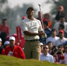 2009__12__tigerwoods8 225×222.jpg